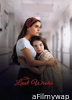 The Last Wish (2025) ORG Hindi Dubbed Movie